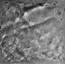 Mars-4 Frame 3.V