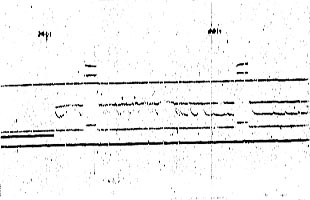 Data from Mandelshtam's Experiment